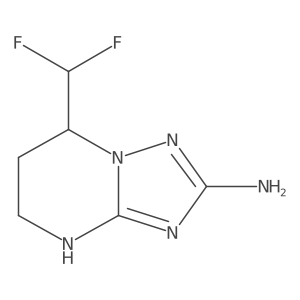 7-(Difluoromethyl)-4H,5H,6H,7H-[1,2,4]triazolo[1,5-a]pyrimidin-2-amine Structure