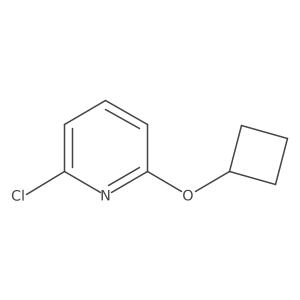 2-Chloro-6-cyclobutoxypyridine Structure