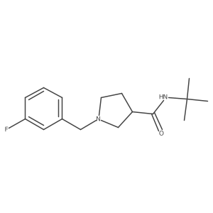 N-tert-butyl-1-[(3-fluorophenyl)methyl]pyrrolidine-3-carboxamide Structure