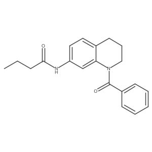 N-(1-benzoyl-1,2,3,4-tetrahydroquinolin-7-yl)butanamide结构式
