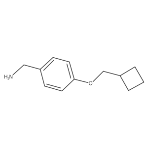 [4-(Cyclobutylmethoxy)phenyl]methanamine结构式
