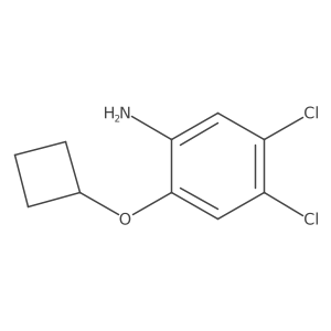 1506268-83-2 structure