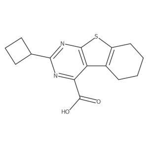 2172144-63-5 structure