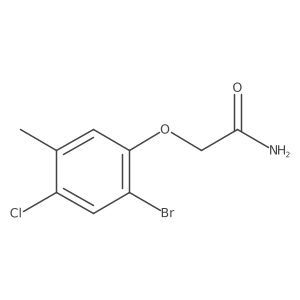 102066-02-4 structure