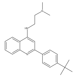 N1-(2-(4-(tert-Butyl)phenyl)quinolin-4-yl)-N2,N2-dimethylethane-1,2-diamine Structure