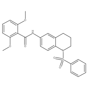 N-[1-(benzenesulfonyl)-1,2,3,4-tetrahydroquinolin-6-yl]-2,6-dimethoxybenzamide Structure
