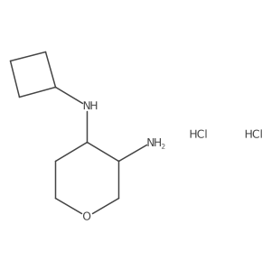 N4-Cyclobutyltetrahydro-2H-pyran-3,4-diaminedihydrochloride Structure