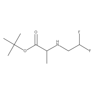 Tert-butyl 2-[(2,2-difluoroethyl)amino]propanoate Structure
