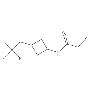 2-chloro-N-[3-(2,2,2-trifluoroethyl)cyclobutyl]acetamide结构式