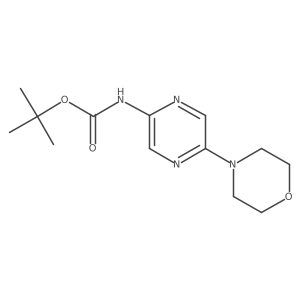 2007919-55-1结构式