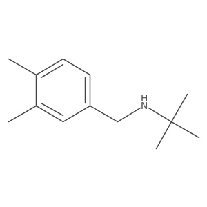 Tert-butyl[(3,4-dimethylphenyl)methyl]amine Structure