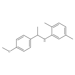 N-(2,5-Dimethylphenyl)-4-methoxy-I+/--methylbenzenemethanamine结构式