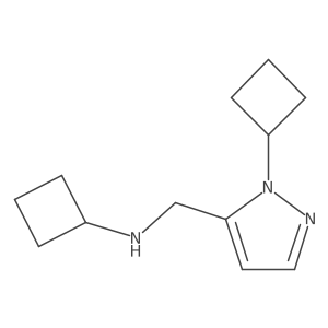 N-[(1-cyclobutyl-1H-pyrazol-5-yl)methyl]cyclobutanamine结构式