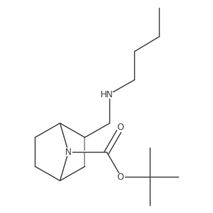 Tert-butyl 2-[(butylamino)methyl]-7-azabicyclo[2.2.1]heptane-7-carboxylate结构式