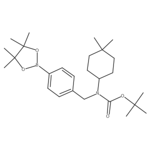 1007579-19-2 structure