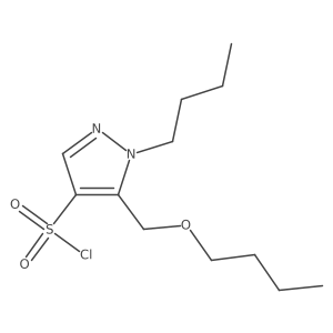 5-(butoxymethyl)-1-butyl-1H-pyrazole-4-sulfonyl chloride结构式