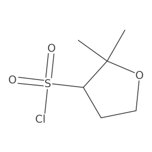 2,2-Dimethyloxolane-3-sulfonyl chloride Structure