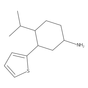 4-(Propan-2-yl)-3-(thiophen-2-yl)cyclohexan-1-amine结构式