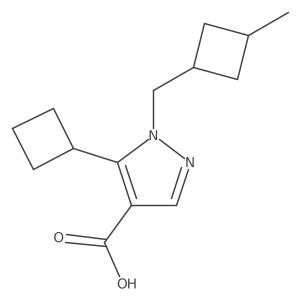 5-cyclobutyl-1-[(3-methylcyclobutyl)methyl]-1H-pyrazole-4-carboxylic acid结构式