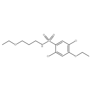 2,5-dichloro-4-ethoxy-N-(3-ethoxypropyl)benzenesulfonamide Structure