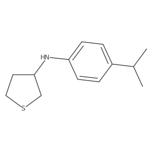 N-[4-(Propan-2-yl)phenyl]thiolan-3-amine Structure