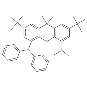 (2,7-di-tert-butyl-5-(Dimethylsilyl)-9,9-dimethyl-9H-xanthen-4-yl)diphenylphosphine结构式