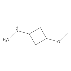 (3-Methoxycyclobutyl)hydrazine结构式