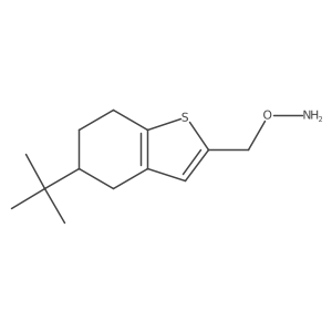 O-[(5-tert-butyl-4,5,6,7-tetrahydro-1-benzothiophen-2-yl)methyl]hydroxylamine结构式