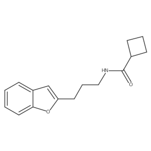 N-(3-(benzofuran-2-yl)propyl)cyclobutanecarboxamide结构式