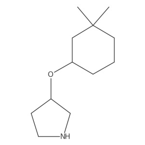 3-[(3,3-Dimethylcyclohexyl)oxy]pyrrolidine Structure