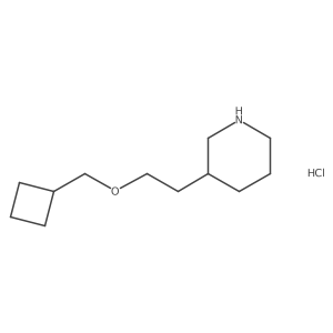 3-[2-(Cyclobutylmethoxy)ethyl]piperidine hydrochloride结构式