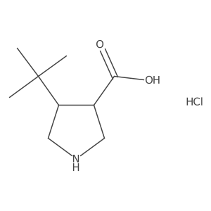 rac-(3R,4S)-4-tert-butylpyrrolidine-3-carboxylic acid hydrochloride结构式