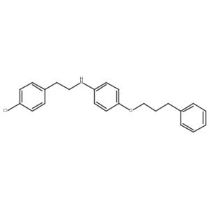 1040686-75-6 structure
