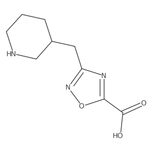 3-[(Piperidin-3-yl)methyl]-1,2,4-oxadiazole-5-carboxylic acid结构式