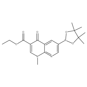 Ethyl 1-methyl-4-oxo-6-(4,4,5,5-tetramethyl-1,3,2-dioxaborolan-2-YL)-1,4-dihydro-1,8-naphthyridine-3-carboxylate结构式