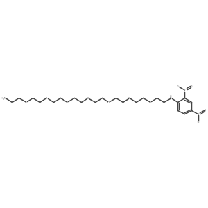 N1-(2,4-Dinitrophenyl)-3,6,9,12,15,18,21-heptaoxatricosane-1,23-diamine结构式
