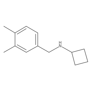 N-[(3,4-dimethylphenyl)methyl]cyclobutanamine Structure