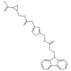2172164-91-7 structure