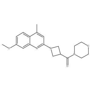 7-Methoxy-4-methyl-2-[3-(morpholine-4-carbonyl)azetidin-1-yl]quinoline Structure