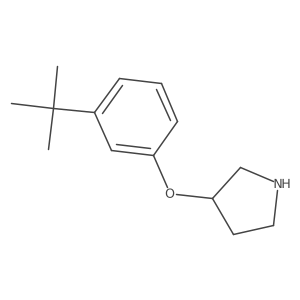 3-(3-Tert-butylphenoxy)pyrrolidine结构式