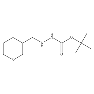 tert-Butyl 2-((tetrahydro-2H-thiopyran-3-yl)methyl)hydrazine-1-carboxylate Structure