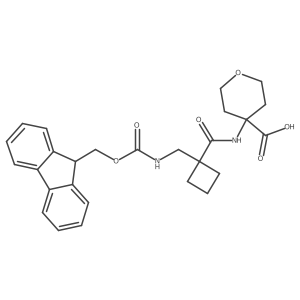 2172504-31-1结构式