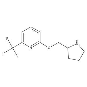 2-(Pyrrolidin-2-ylmethoxy)-6-(trifluoromethyl)pyridine结构式
