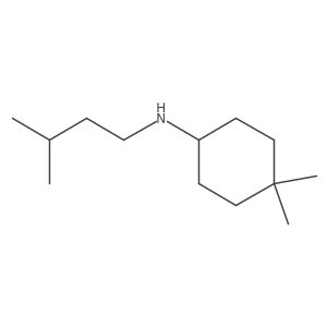 4,4-dimethyl-N-(3-methylbutyl)cyclohexan-1-amine结构式