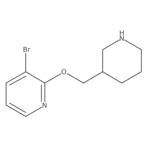 1248253-70-4 structure