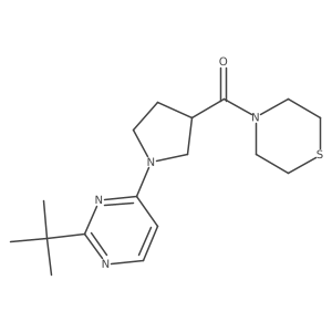 4-[1-(2-Tert-butylpyrimidin-4-yl)pyrrolidine-3-carbonyl]thiomorpholine结构式