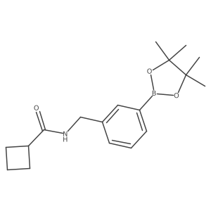 N-{[3-(tetramethyl-1,3,2-dioxaborolan-2-yl)phenyl]methyl}cyclobutanecarboxamide Structure