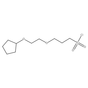 3-[2-(Cyclopentyloxy)ethoxy]propane-1-sulfonyl chloride Structure