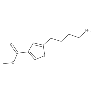 Methyl 5-(4-aminobutyl)thiophene-3-carboxylate Structure