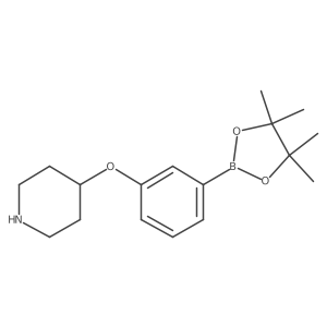 4-(3-(4,4,5,5-Tetramethyl-1,3,2-dioxaborolan-2-yl)phenoxy)piperidine Structure